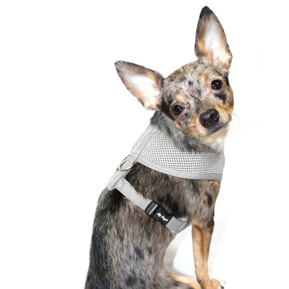 Ultra Comfort Harness Vest - Gray - Picture 6 of 6
